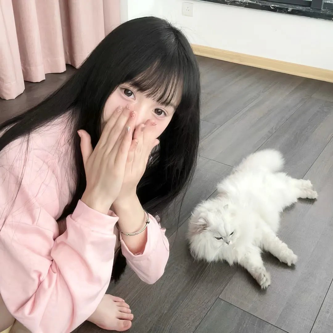 圣诞精灵